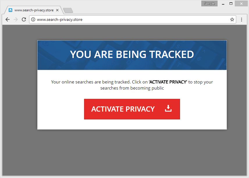 Remove Search-Privacy.Store Browser Hijacker (UPDATED REMOVAL GUIDE)