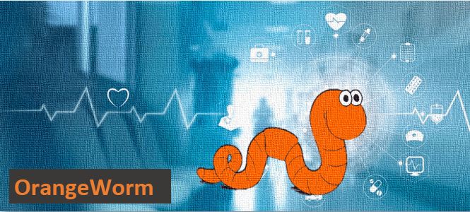 Orangeworm Malware Attacks Healthcare Organization (Latest News)