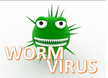 What is Worm? What is Worm?