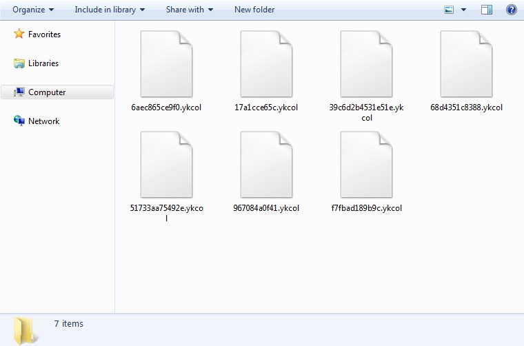 Locky Extenison Locky Extenison