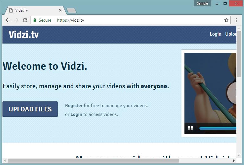 VIDZI.TV portal