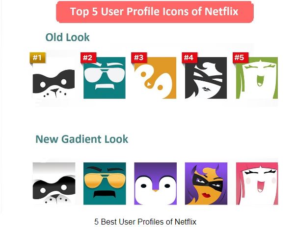 5 Best User Profile