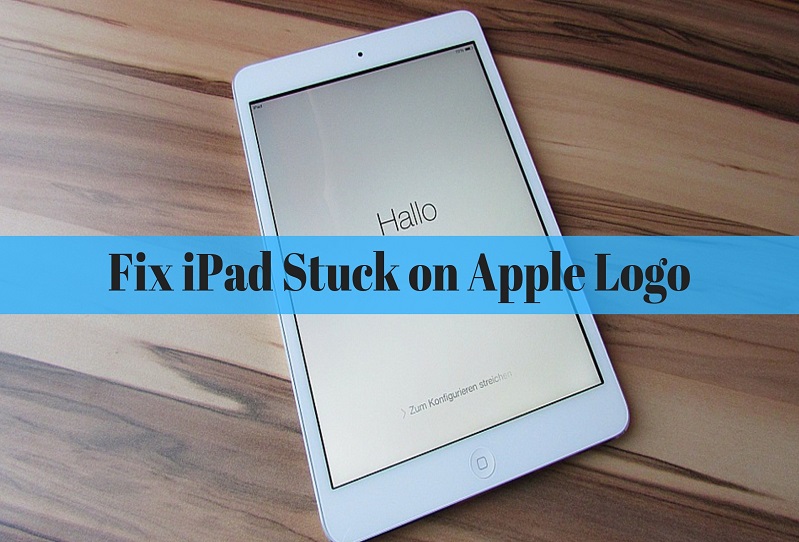 How To Fix iPad Stuck on Apple Logo Screen Easily?