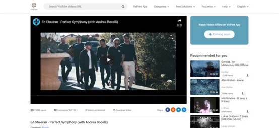 Video Streaming VidPaw