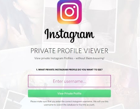 use instagram private profile viewer tools - how to see a instagram private page without following them